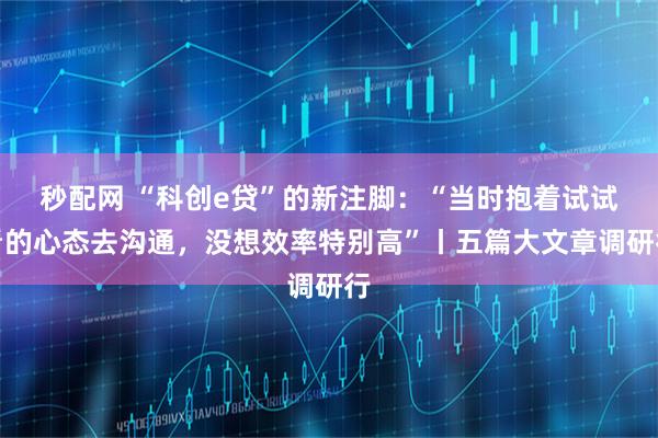 秒配网 “科创e贷”的新注脚：“当时抱着试试看的心态去沟通，没想效率特别高”丨五篇大文章调研行