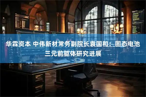 华霖资本 中伟新材常务副院长袁国和：固态电池三元前驱体研究进展