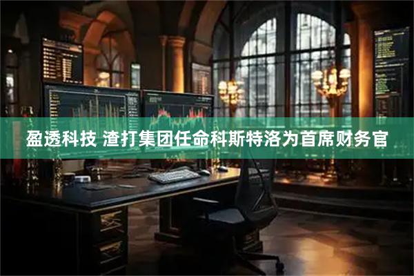 盈透科技 渣打集团任命科斯特洛为首席财务官